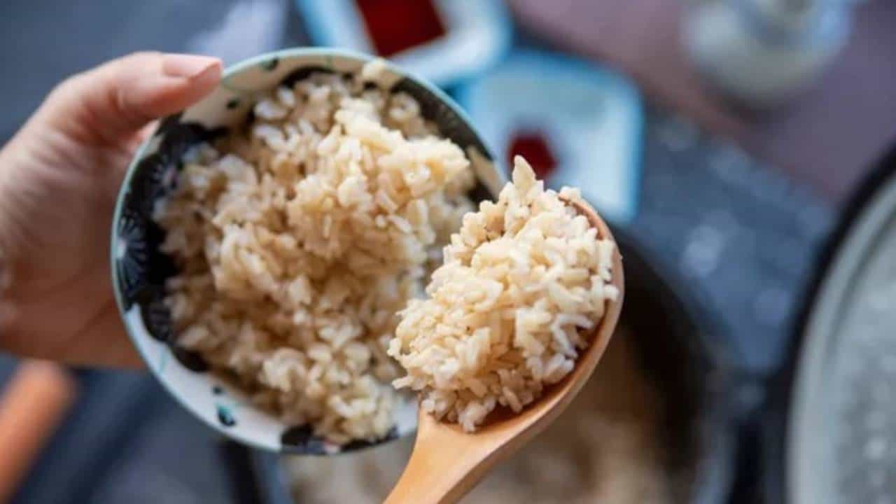শরীর সুস্থ রাখতে চিকিৎসকরা সব সময় টাটকা খাবার খাওয়ার পরামর্শ দেন।