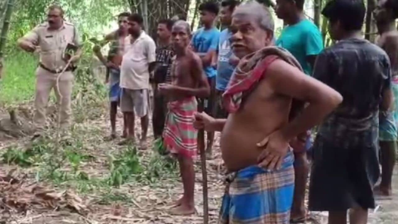 Murder: বাঁশ বাগানে কাজ করছিলেন মহিলা, পিছন থেকে এসে সেই ঘটনা ঘটাল রতন