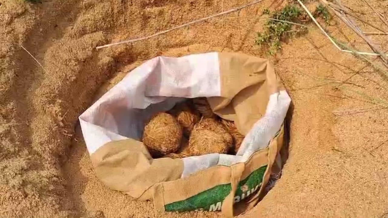 Birbhum: গণনার আগে দুবরাজপুর থেকেও উদ্ধার তাজা বোমা