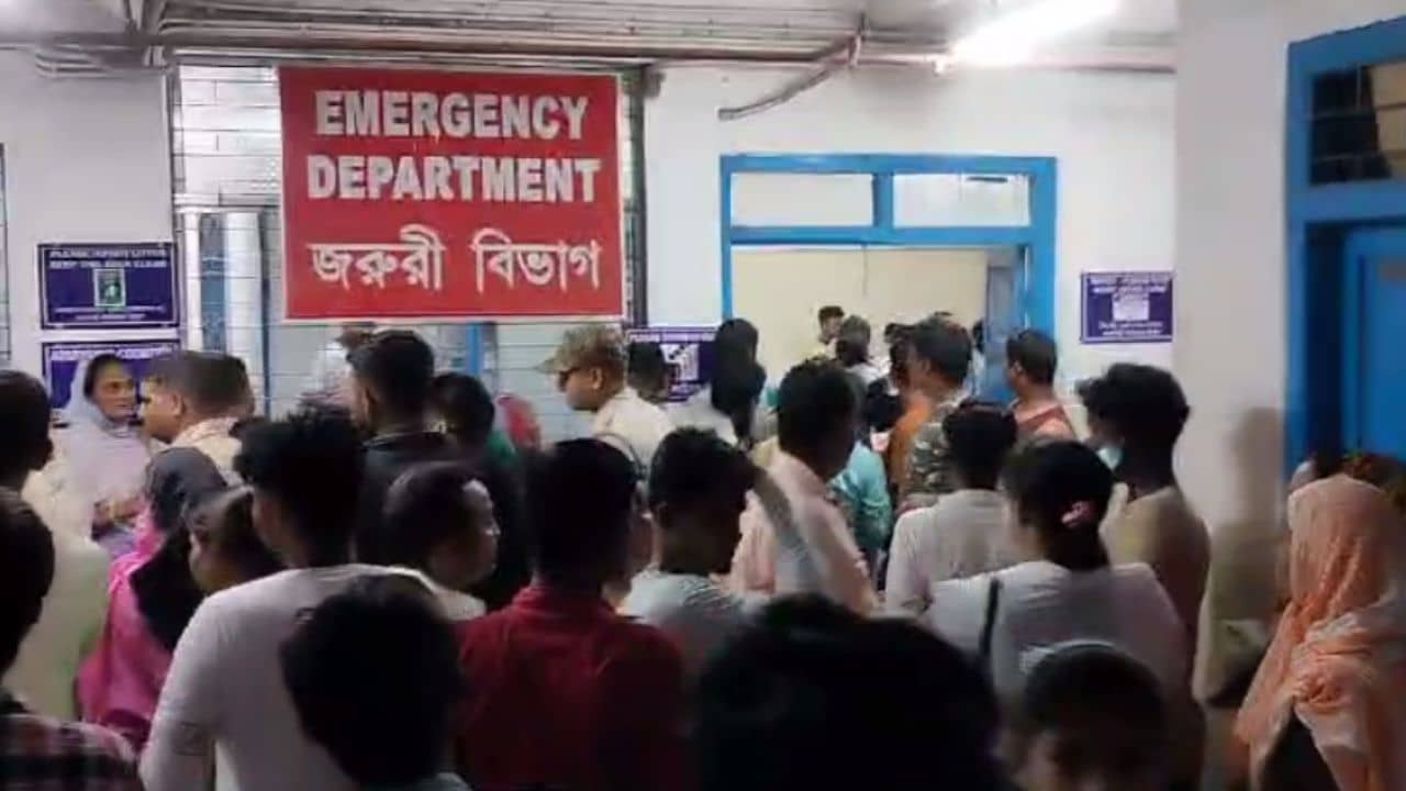 Murshidabad: হঠাৎ বিকট শব্দ! বল ভেবে বোমা হাতে তুলতেই বিস্ফোরণ