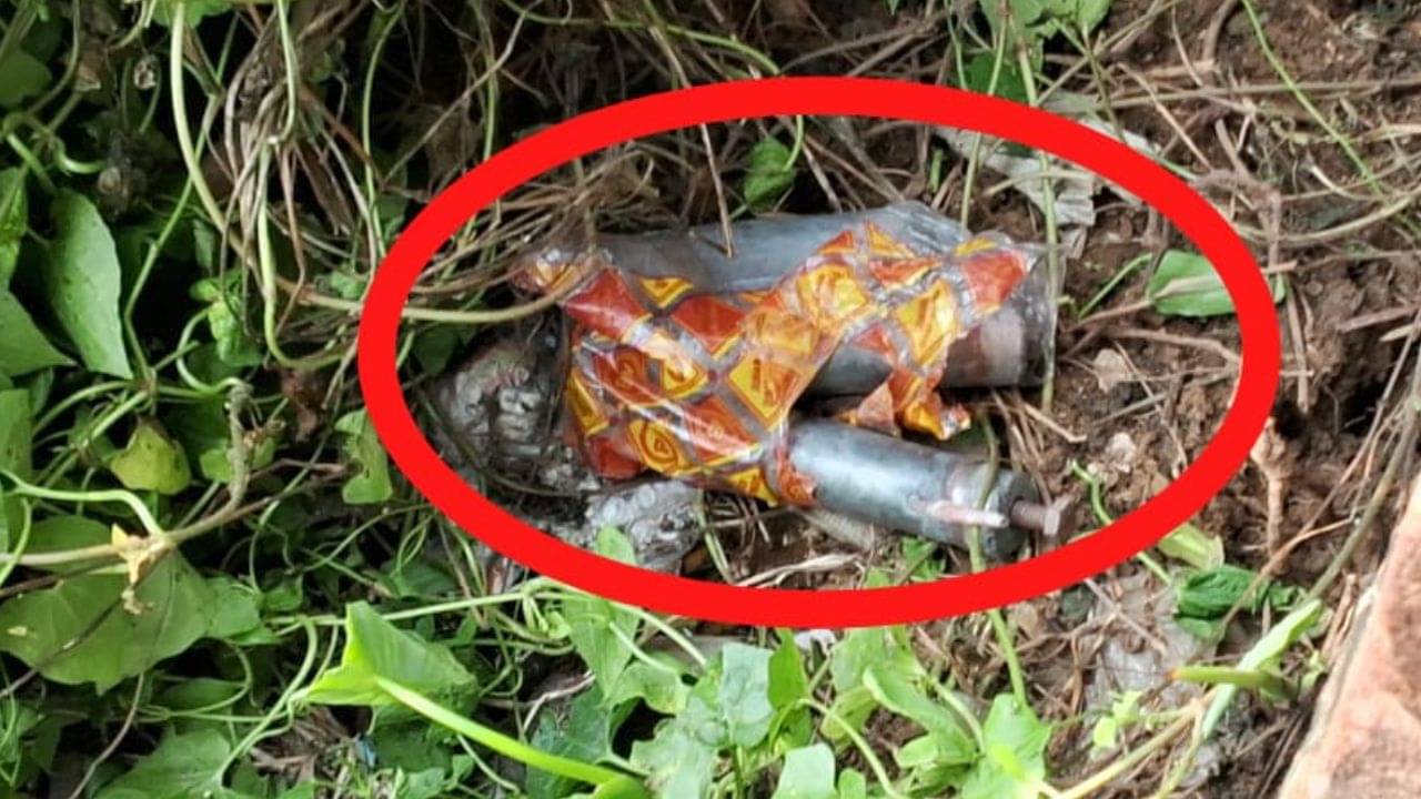 Bomb Recovery: বিডিও অফিসের ঢিল ছোড়া দূরে ঝোপের মধ্যে সকেট বোমা! ভয়ে সিঁটিয়ে এলাকাবাসীরা