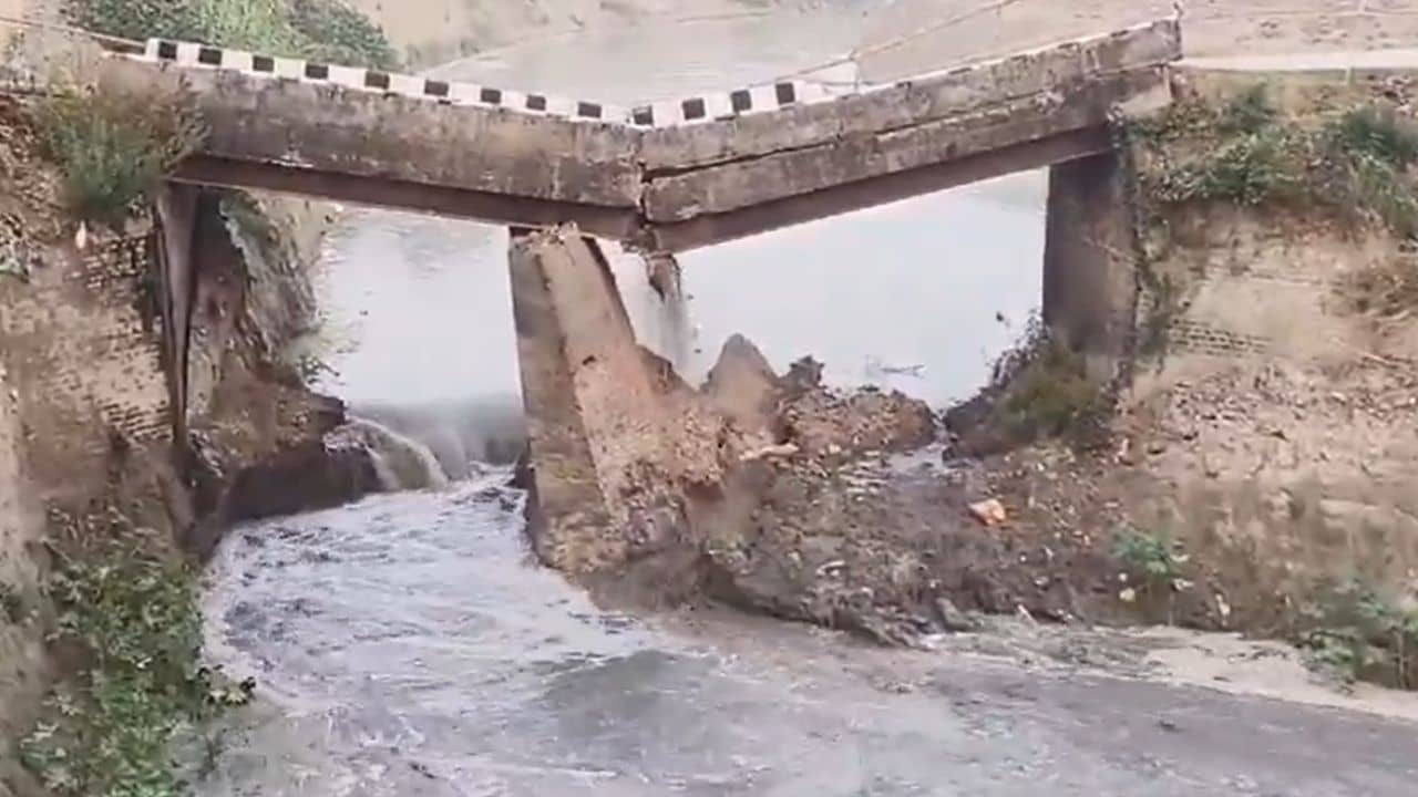 Bridge Collapsed in Bihar: বিহারে ফের ভেঙে পড়ল সেতু, দেখুন ভিডিয়ো
