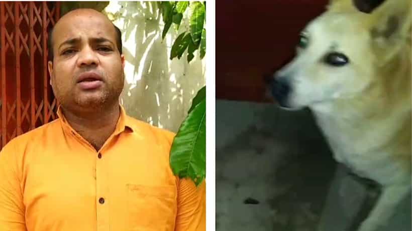 Post Poll Violence: আমার কুকুরটাকেও ছাড়েনি..., ভোটের পর ভয়ঙ্কর অভিজ্ঞতার কথা শোনালেন BJP নেতা