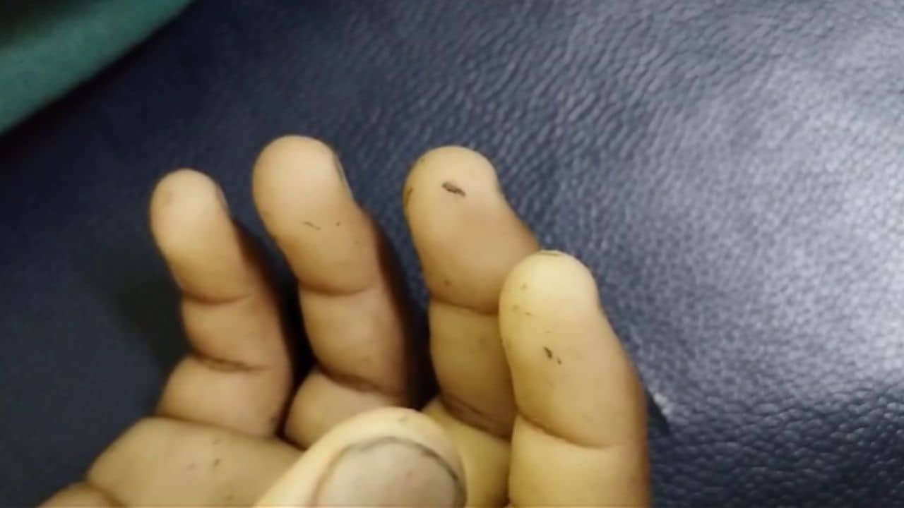 Canning: যা ধরে আন রেঁধে দেবো...., মায়ের কথা শুনে কাঁকড়া ধরতে জমিতে গিয়েছিল ছেলেটা, পাড়ায় এখন হাহাকার