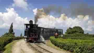 Toy Train: দার্জিলিঙের পাহাড়ে টয় ট্রেনের ধাক্কায় মৃত্যু যুবকের