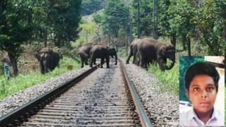 Delay of Train: ট্রেন লেট, ‘বিশাল’ ক্ষতিপূরণ দিতে হচ্ছে রেলকে