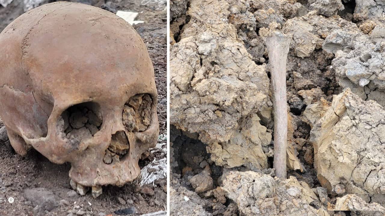 Skeleton: দিনে-দুপুরে জাতীয় সড়ক থেকে উঠে এল নরকঙ্কাল, কী হচ্ছে বর্ধমানে?
