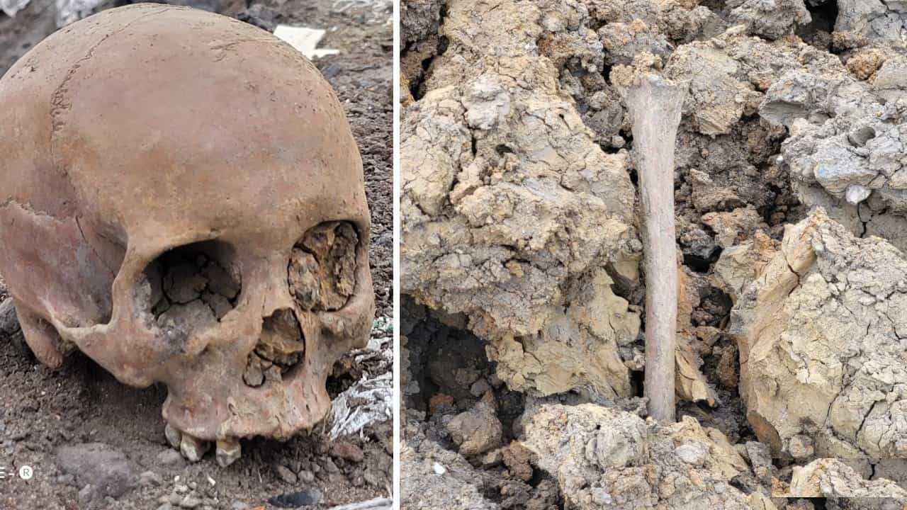Skeleton: দিনে-দুপুরে জাতীয় সড়ক থেকে উঠে এল নরকঙ্কাল, কী হচ্ছে বর্ধমানে? Skeleton: দিনে-দুপুরে জাতীয় সড়ক থেকে উঠে এল নরকঙ্কাল, কী হচ্ছে বর্ধমানে?