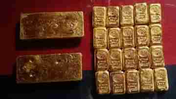 Gold Smuggling: বাংলাদেশ সীমান্তে সোনা পাচারের বিরাট প্ল্যানিং! ঘুটঘুটে অন্ধকারেও সব ধরে ফেলল বিএসএফ