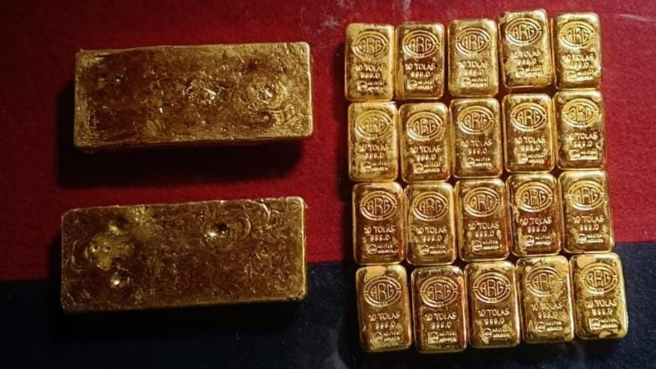 Gold Smuggling: বাংলাদেশ সীমান্তে সোনা পাচারের বিরাট প্ল্যানিং! ঘুটঘুটে অন্ধকারেও সব ধরে ফেলল বিএসএফ