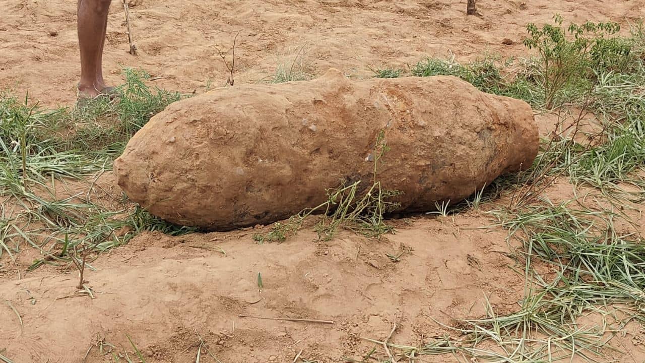 Jhargram: এই হল ব্রিটিশ আমলের বোমা! এবার আবির্ভাব হল চাষের জমি থেকে