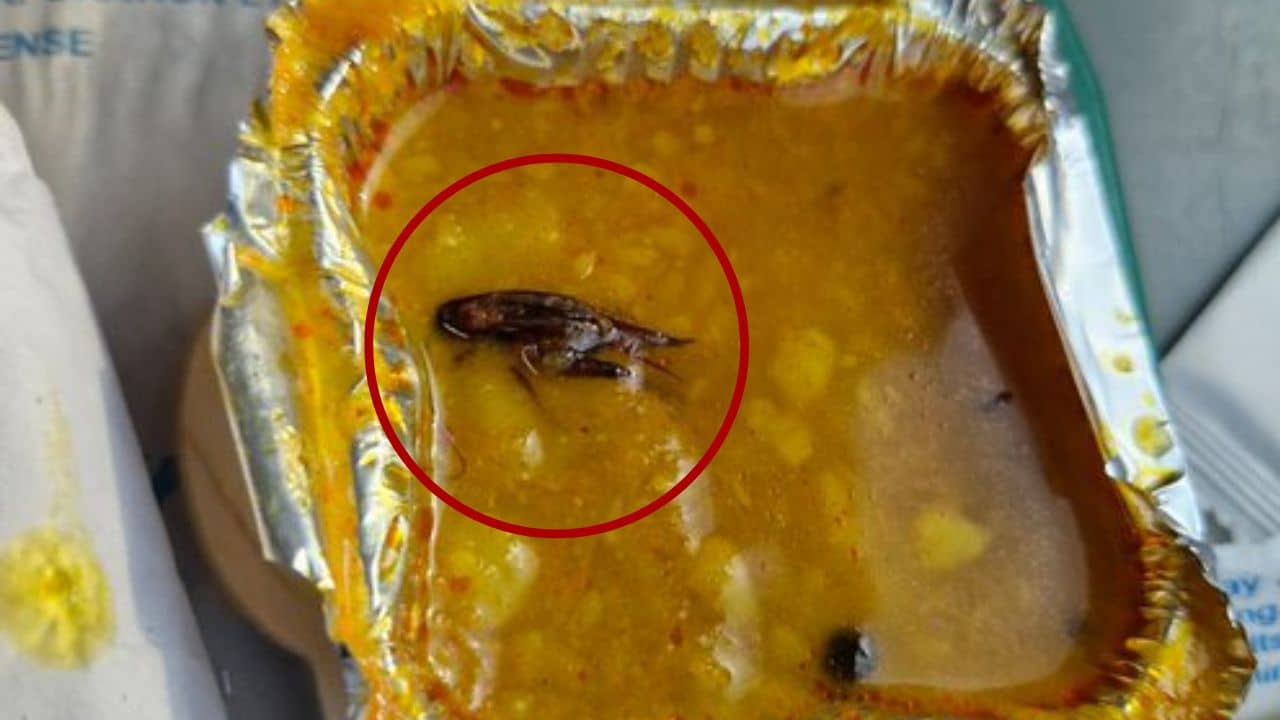 ডালের মধ্যে লাল লাল ওটা কী? নাড়া দিতেই গুলিয়ে উঠল শরীর, শেষে কি না বন্দে ভারতের খাবারেই এই...