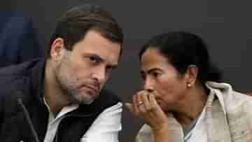 Mamata Banerjee-Rahul Gandhi: গোঁসা মমতার, আধ ঘণ্টা ধরে কথা বললেন রাহুল, কী নিয়ে এত মন কষাকষি?