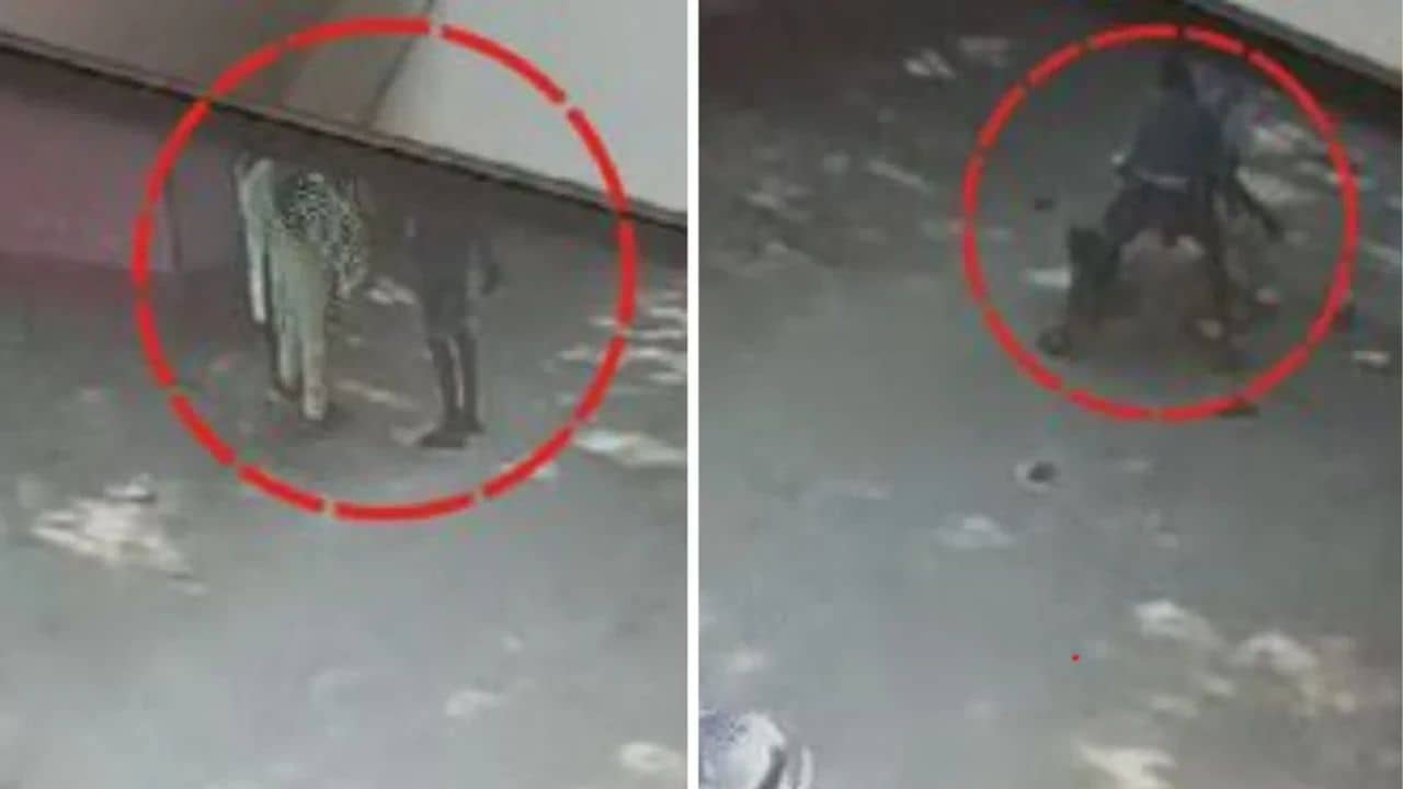 Crime Case: খুন চেপেছিল মাথায়! কোপের পর কোপ মারল স্বামী, লুটিয়ে পড়ল স্ত্রী, ধরা পড়ল সেই দৃশ্য