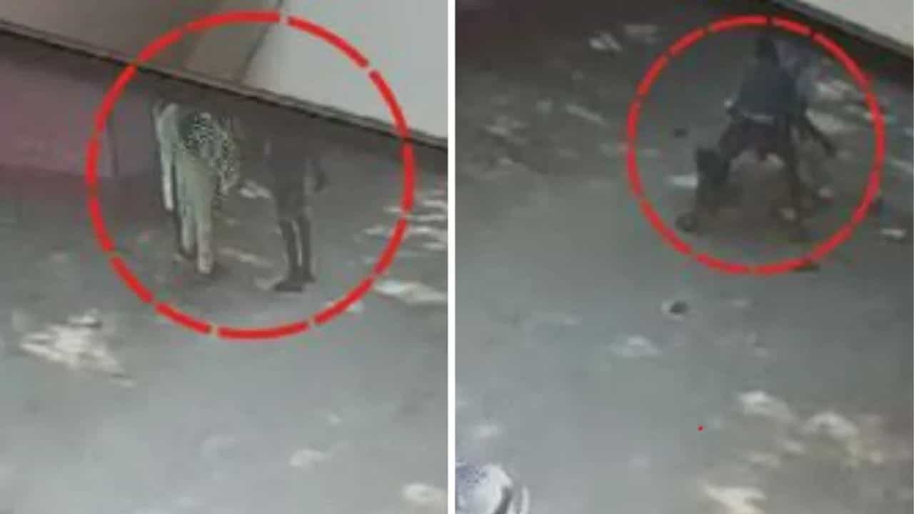 Crime Case: খুন চেপেছিল মাথায়! কোপের পর কোপ মারল স্বামী, লুটিয়ে পড়ল স্ত্রী, ধরা পড়ল সেই দৃশ্য Crime Case: খুন চেপেছিল মাথায়! কোপের পর কোপ মারল স্বামী, লুটিয়ে পড়ল স্ত্রী, ধরা পড়ল সেই দৃশ্য