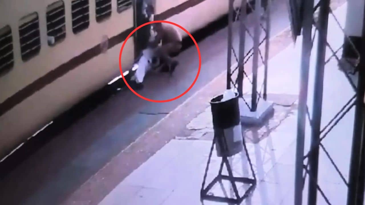 Local Train Rescue VIDEO: চলন্ত লোকাল ট্রেনে উঠতে গিয়েই পিছলে গেল পা, তারপর যা ঘটল... শিউরে উঠবেন, দেখুন VIDEO