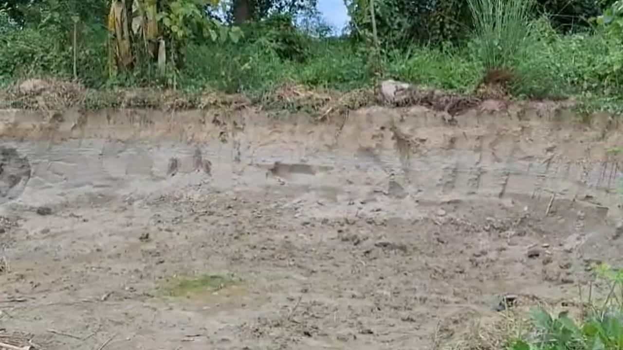 Soil Mafia: জলপথে এসেই মাটি কেটে নিয়ে পালাচ্ছে মাটি মাফিয়ারা Soil Mafia: জলপথে এসেই মাটি কেটে নিয়ে পালাচ্ছে মাটি মাফিয়ারা