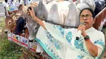 Mamata Banerjee: চোখের সামনে দিয়ে ট্রাক ওভারলোডের টাকা যাচ্ছে কাঁথিতে, রীতিমতো ক্ষোভ প্রকাশ করে বললেন মমতা