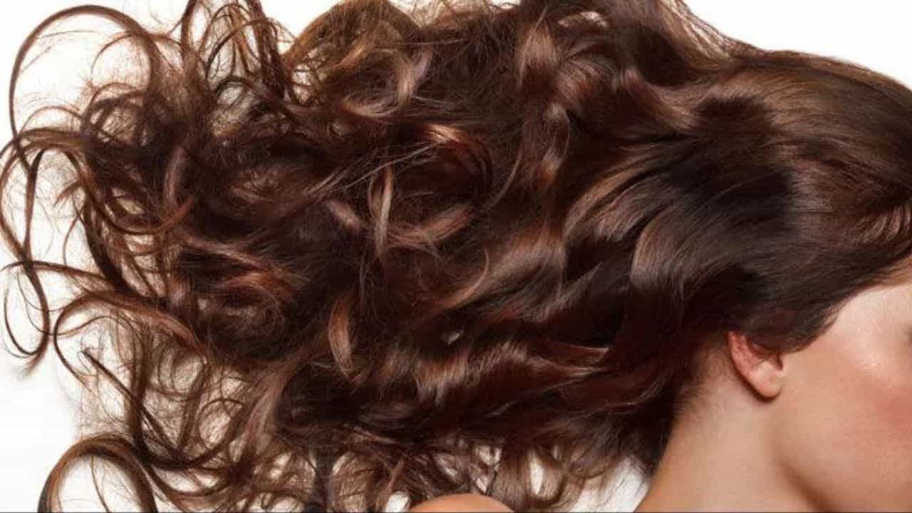 চড়া রোদ আর ভ্যাপসা গরমে নাজেহাল ছোট থেকে বড়, সকলেই। বর্ষার আগমনে আবহাওয়ার খামখেয়ালিতে স্বাস্থ্যে যেমন সমস্যা দেখা যায়, তেমনি সৌন্দর্যের উপরেও পড়ে যায় দাগ। সৌন্দর্ শুধু মুখের মধ্যে লুকিয়ে থাকে না, চুলের সৌন্দর্যের উপরও প্রভাব পড়ে।