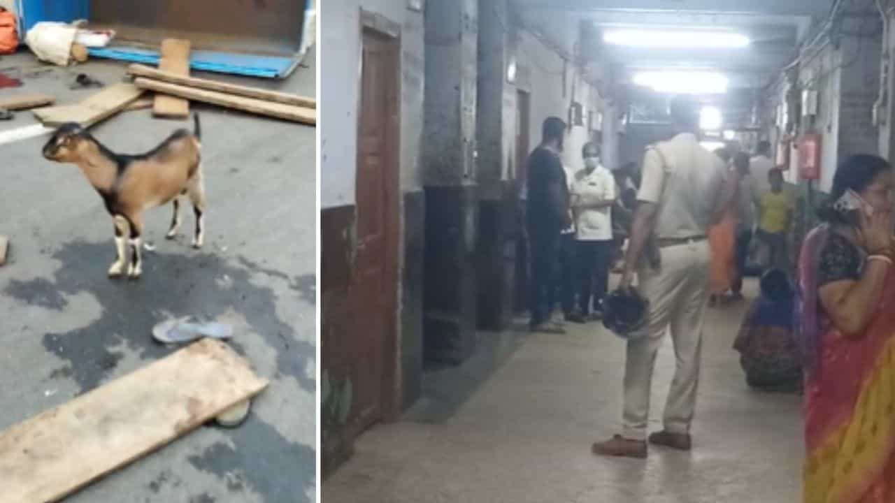 Purulia: ছাগলটা যখন গাড়ি থেকে লাফ মারে, আঁচ মেলে তখনই, পুরুলিয়ার কাছে জাতীয় সড়কে রক্তাক্ত, দলা পাকিয়ে যাওয়া পরপর লাশ Purulia: ছাগলটা যখন গাড়ি থেকে লাফ মারে, আঁচ মেলে তখনই, পুরুলিয়ার কাছে জাতীয় সড়কে রক্তাক্ত, দলা পাকিয়ে যাওয়া পরপর লাশ