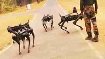 Remote-Controlled MULE Robot Dogs: বদলে যাবে যুদ্ধটাই, শিগগিরই ভারতীয় সেনাবাহিনীতে যোগ দিচ্ছে চার পায়ের সৈনিক!