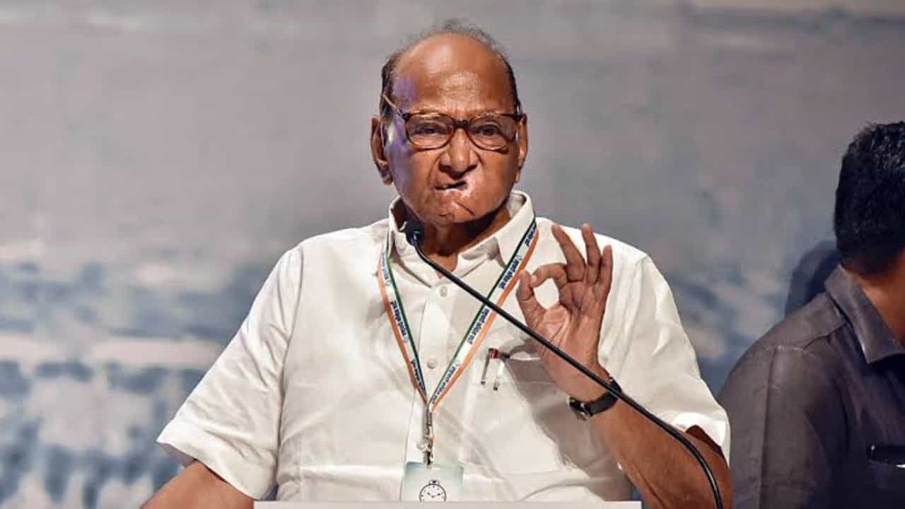 Sharad Pawar: 'মহারাষ্ট্রের দখল নেব', হুঙ্কার শরদের, জানিয়ে দিলেন পরিকল্পনাও Sharad Pawar: 'মহারাষ্ট্রের দখল নেব', হুঙ্কার শরদের, জানিয়ে দিলেন পরিকল্পনাও
