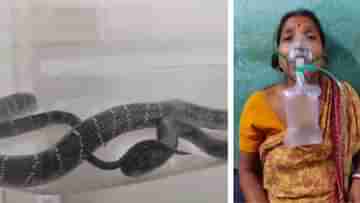 Snake Bite: পায়ের দুজায়গায় ২ বার ছোবল, বিষধর কালাচকে হাতে নিয়েই হাসপাতালে ছুটলেন মহিলা