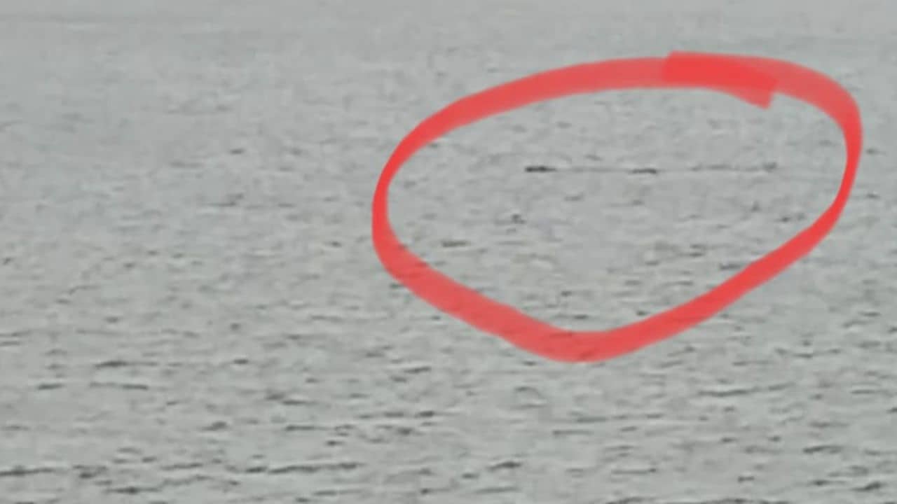 Sundarban: নদীতে তখন কাঁকড়া ধরতে মগ্ন ১৩ বছরের ছেলেটা, হঠাৎ জল থেকে উঠে পা কামড়ে ছিঁড়ে খেল কুমির