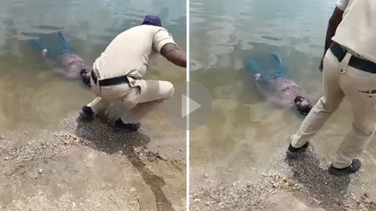 Video: ৫ ঘণ্টা ধরে পুকুরে ভাসছিল 'লাশ', কিন্তু পুলিশ আসতেই যা হল... Video: ৫ ঘণ্টা ধরে পুকুরে ভাসছিল 'লাশ', কিন্তু পুলিশ আসতেই যা হল...