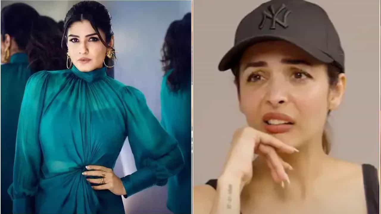 ভয়ে কাঁটা রবিনা, শেষে ঝুঁকি নিয়ে শাহরুখের পাশে মালাইকা.... ভয়ে কাঁটা রবিনা, শেষে ঝুঁকি নিয়ে শাহরুখের পাশে মালাইকা....