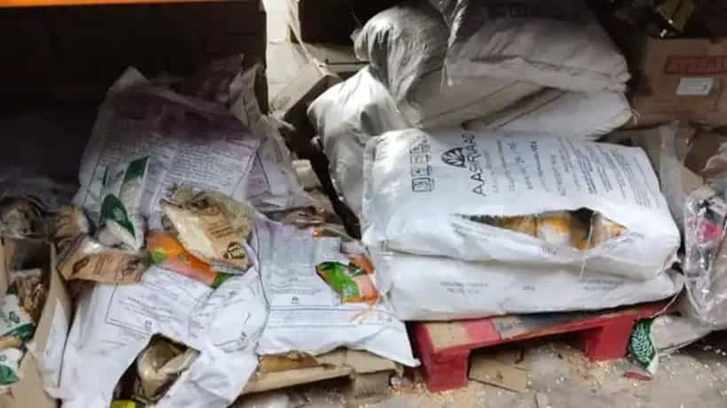 Delivery App: বাড়ি বসে ব্লিংকইট-এ অডার করছেন? সাবধান, স্টোরহাউসের ভয়ানক ছবি এবার সামনে