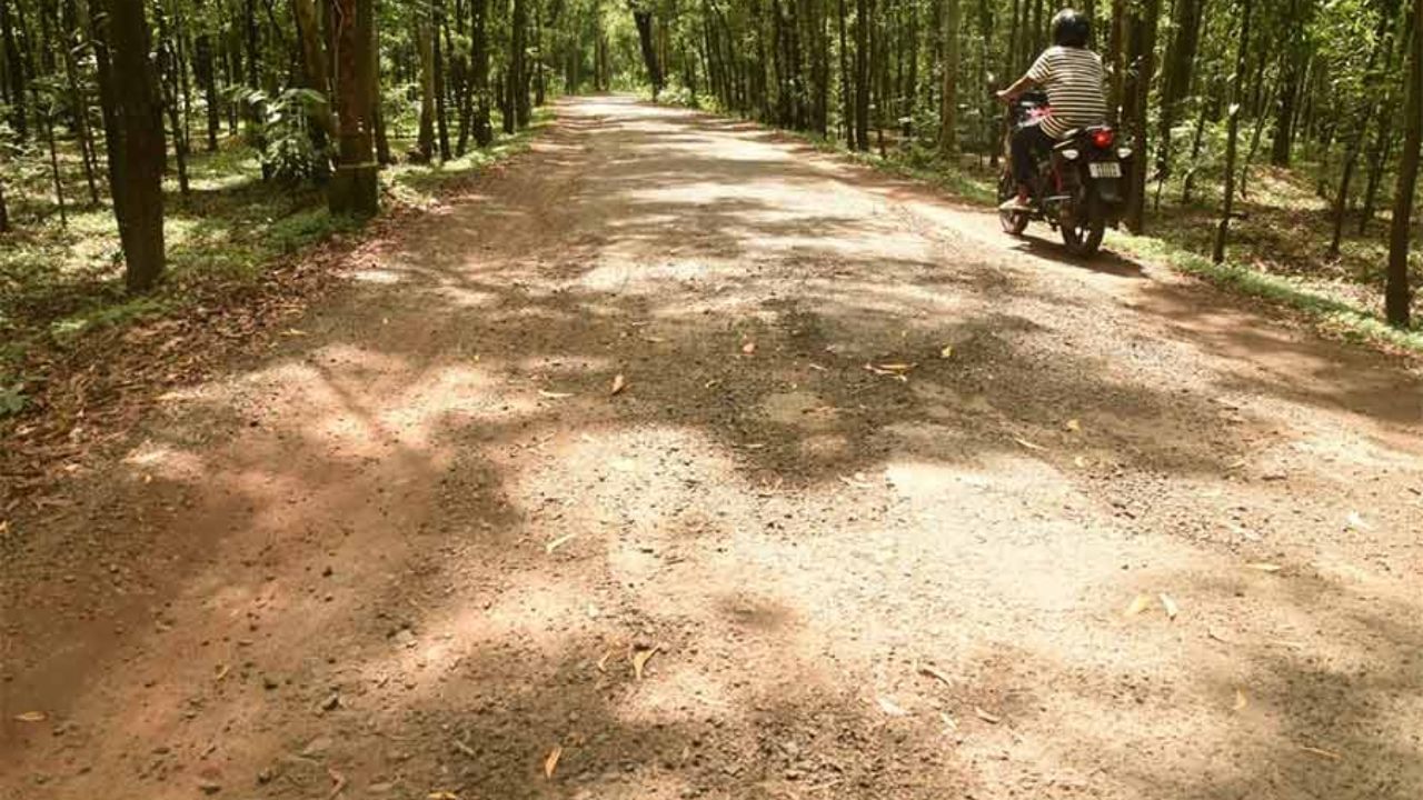 Jalpaiguri: পেটের নীচ থেকে বেরিয়ে গিয়েছে অন্ত্র, জঙ্গলের বুক চিরে যাওয়া রাস্তায় খুদের সঙ্গে ভয়ঙ্করকাণ্ড Jalpaiguri: পেটের নীচ থেকে বেরিয়ে গিয়েছে অন্ত্র, জঙ্গলের বুক চিরে যাওয়া রাস্তায় খুদের সঙ্গে ভয়ঙ্করকাণ্ড