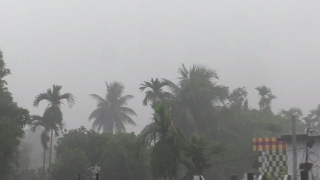 Kolkata Weather Update: অবশেষে সুখবর দিল হাওয়া অফিস! কবে বর্ষা ঢুকবে? জানাল হাওয়া অফিস