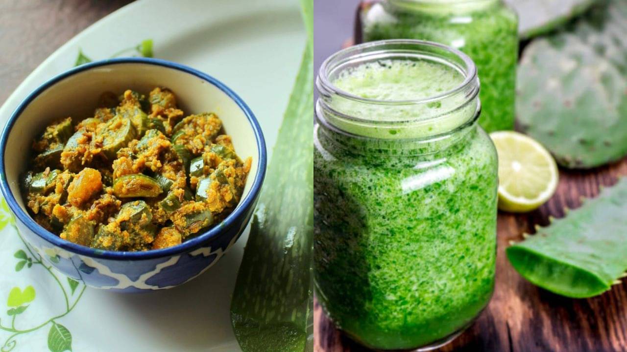 Aloe Vera for Diabetes: ডায়াবেটিসের ওষুধ খান রোজ? অ্যালোভেরার তৈরি চা-তরকারি খেলেই কমবে সুগার