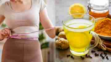 Ayurvedic Tea for Weight Loss: ঘুমিয়ে ঘুমিয়ে ওজন কমবে! শুধু বিছানায় যাওয়ার আগে এই চায়ে চুমুক দিন