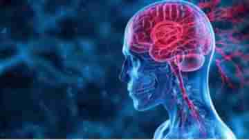 Brain Hemorrhage Symptoms: গরমে ব্রেন হেমারেজের ঝুঁকি বাড়ছে, উপসর্গগুলি জেনে নিন