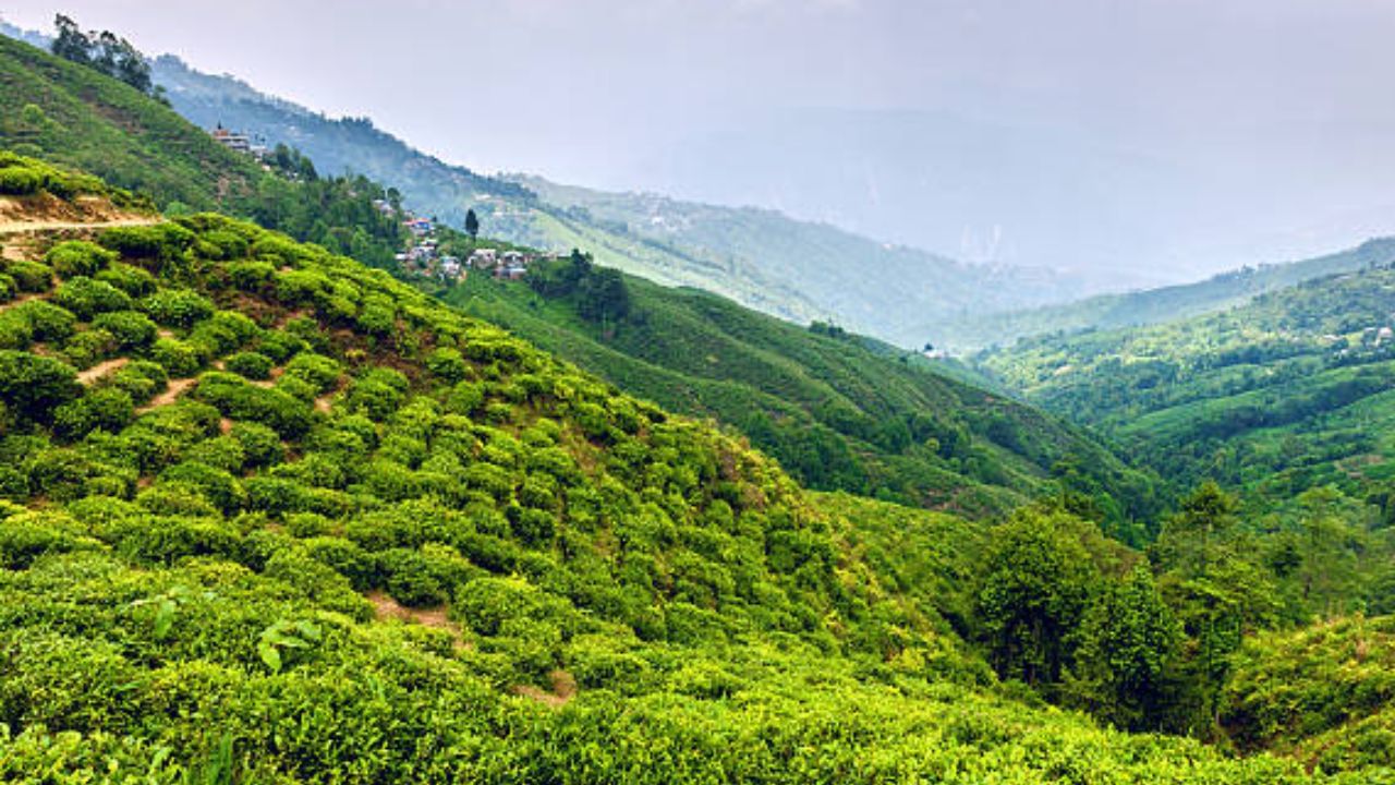 গ্রীষ্মে দার্জিলিং বেড়াতে গেলে আবহাওয়া সাধারণত পরিষ্কার থাকে। ফলে টাইগার হিল থেকে ভোরের সূর্যোদয় দেখা সম্ভব। এছাড়া এই সময়ে দার্জিলিঙে দিনেরবেলাও ঠান্ডা হাওয়া বইতে থাকে। ফলে দার্জিলিঙ থেকে বিভিন্ন ট্যুরিস্ট স্পটে যেতেই পারেন