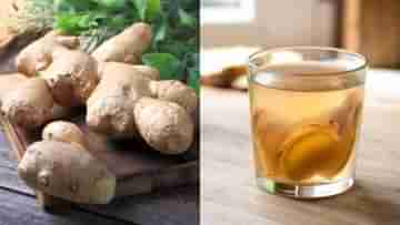 Ginger Water: আদা-জল খেয়ে লেগে পড়ুন কাজে, কোনও রোগ আপনাকে ছুঁতে পারবে না