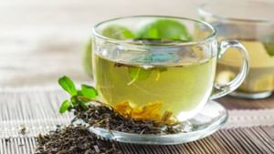 Green Tea for Weight Loss: চটজলদি ওজন কমাতে চান? সকাল-বিকাল চুমুক দিন এই চায়ের কাপে