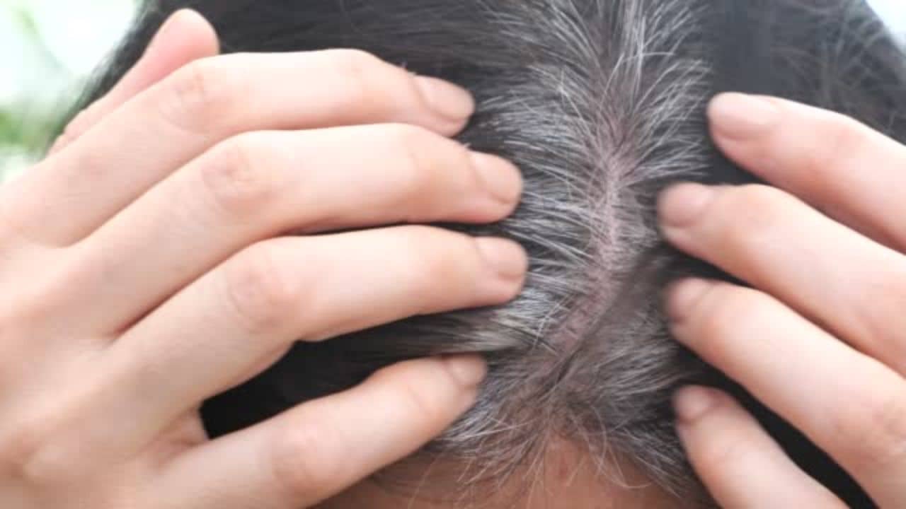 Grey Hair: বয়স বৃদ্ধির আগে চুলে পাকা ধরেছে? রোজ এই তেল মাখলেই দূর হবে অকাল পক্কতা