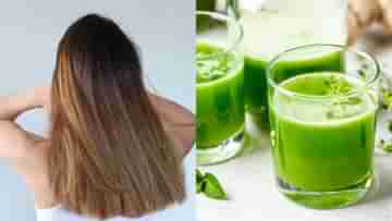 Hair Care Drink: শ্যাম্পু-তেল মেখেও বন্ধ হয়নি চুল পড়া? রোজ সকালে এই পানীয়ে চুমুক দিলেই হবে ম্যাজিক