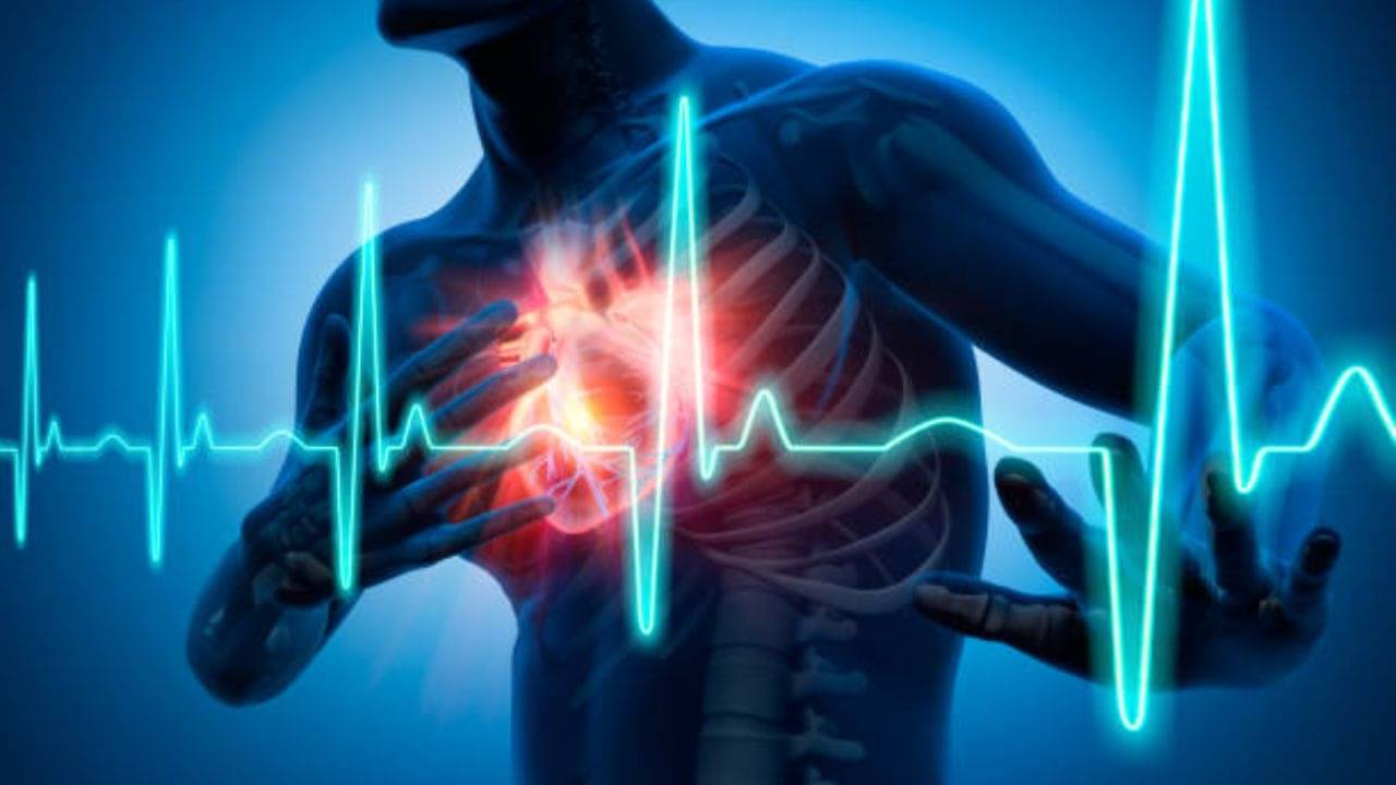 Heart Diseases: হৃদরোগের পিছনে শুধু রক্তচাপ বা কোলেস্টেরল দায়ী নয়, এই ৬ ভিটামিনের অভাবেও হার্ট অ্যাটাক হতে পারে