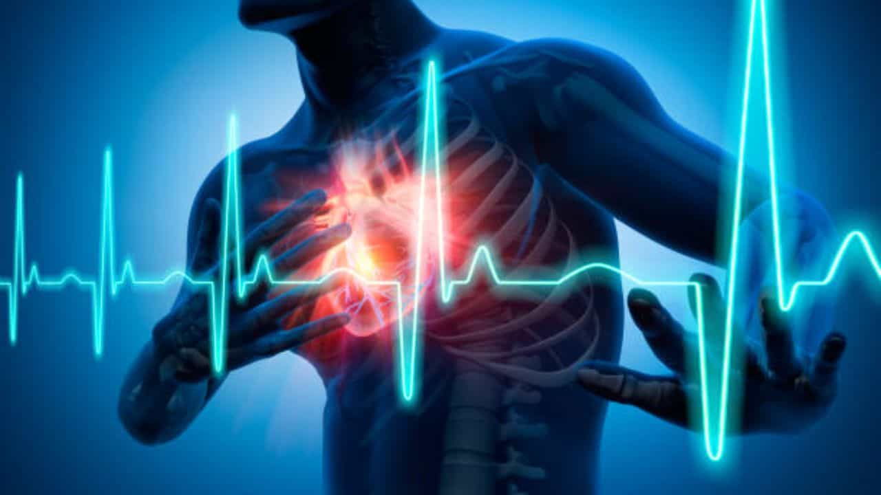Heart Diseases: হৃদরোগের পিছনে শুধু রক্তচাপ বা কোলেস্টেরল দায়ী নয়, এই ৬ ভিটামিনের অভাবেও হার্ট অ্যাটাক হতে পারে Heart Diseases: হৃদরোগের পিছনে শুধু রক্তচাপ বা কোলেস্টেরল দায়ী নয়, এই ৬ ভিটামিনের অভাবেও হার্ট অ্যাটাক হতে পারে