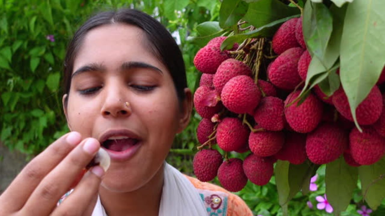 লিচু লাল হলেই সেটা মিষ্টি বা ভাল হবে না। কাঁচা বা পচাও হতে পারে। তবে লিচু চেনার বিশেষ পদ্ধতি রয়েছে। কীভাবে মিষ্টি ও সতেজ লিচু চিনবেন, জেনে নিন