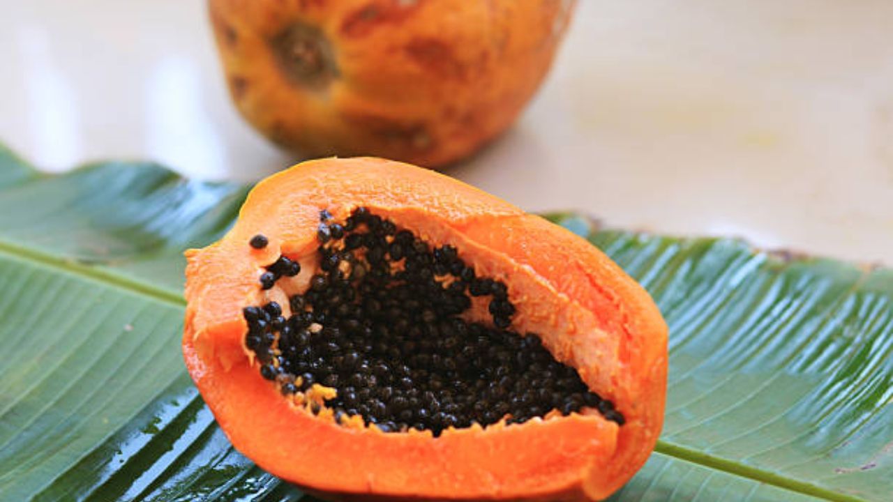 পাকা পেঁপের মধ্যে উচ্চ পরিমাণে ডায়েটরি ফাইবার রয়েছে, যা হজম স্বাস্থ্যের জন্য জরুরি। পাশাপাশি এটি রক্তে শর্করার মাত্রাকে নিয়ন্ত্রণে রাখে এবং ওজন কমাতে সাহায্য করে। 