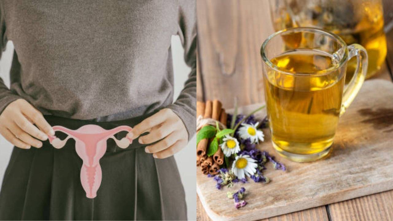 Ayurvedic Drinks for PCOS: পিরিয়ডের সমস্যায় কষ্ট পাচ্ছেন? টানা ২ মাস এই পানীয় খেলেই উধাও হবে সিস্ট