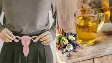 Ayurvedic Drinks for PCOS: পিরিয়ডের সমস্যায় কষ্ট পাচ্ছেন? টানা ২ মাস এই পানীয় খেলেই উধাও হবে সিস্ট