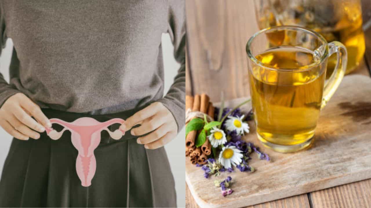 Ayurvedic Drinks for PCOS: পিরিয়ডের সমস্যায় কষ্ট পাচ্ছেন? টানা ২ মাস এই পানীয় খেলেই উধাও হবে সিস্ট Ayurvedic Drinks for PCOS: পিরিয়ডের সমস্যায় কষ্ট পাচ্ছেন? টানা ২ মাস এই পানীয় খেলেই উধাও হবে সিস্ট