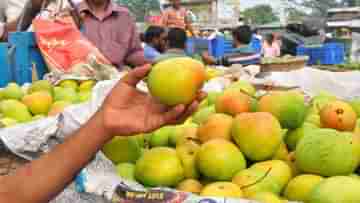 Ripe Mango: গাছ পাকা না কার্বাইডে পাকানো? বাজারে কীভাবে চিনবেন পাকা আম