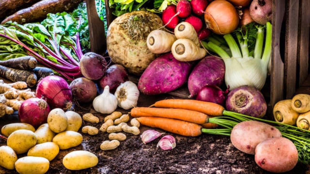 Diabetes Diet: সুগারে কি বাদ মাটির নীচের সবজি? নাকি খাওয়া যায় আলু থেকে গাজর সবই?